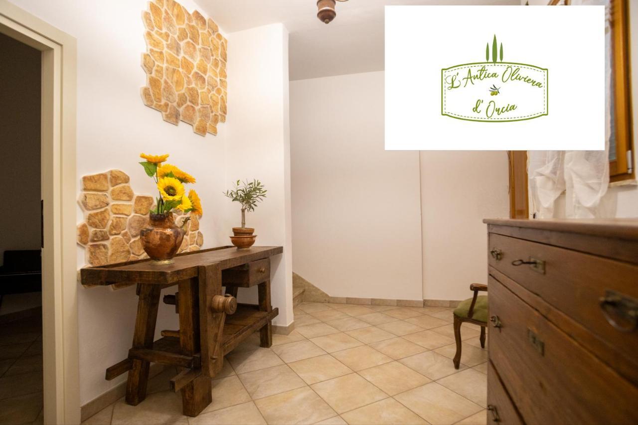 L' Antica Oliviera D'Orcia Apartment San Quirico d'Orcia Ngoại thất bức ảnh